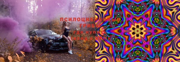 шишки Баксан